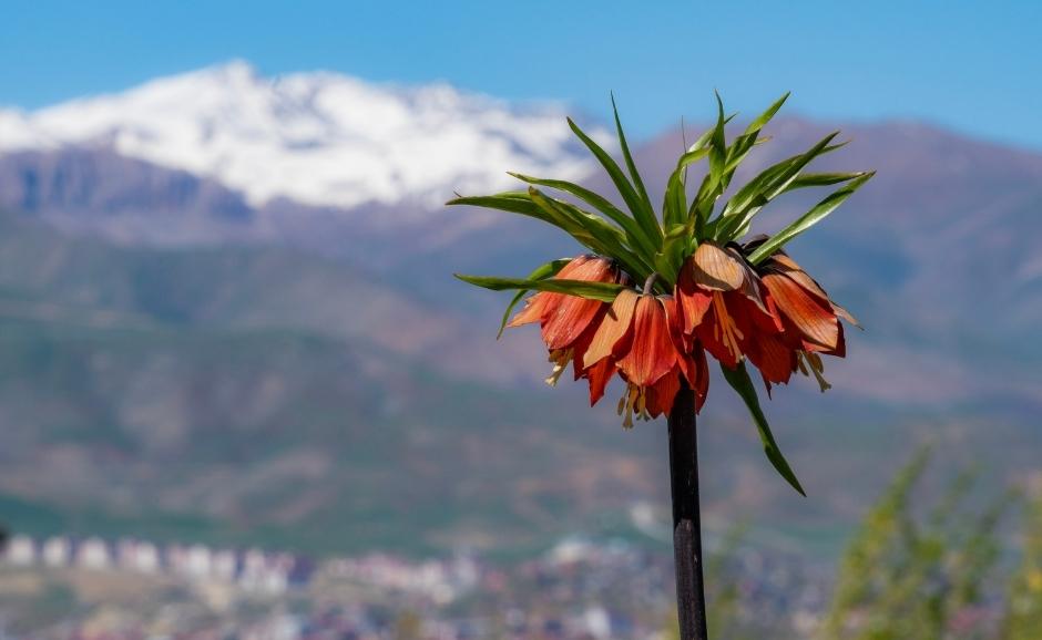 Turkey Historical places to visit in Hakkari 1 Turkey Historical places to visit in Hakkari